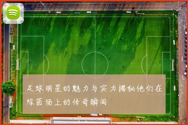 足球明星的魅力与实力揭秘他们在绿茵场上的传奇瞬间