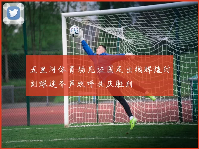 五里河体育场见证国足出线辉煌时刻球迷齐声欢呼共庆胜利